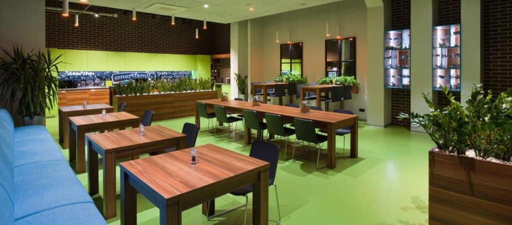 7 Strategies for a Greener and Healthier Workplace